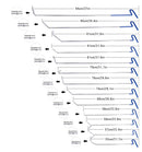 Super PDR Car Body Paintless Dent Repair Professional Tools Kit